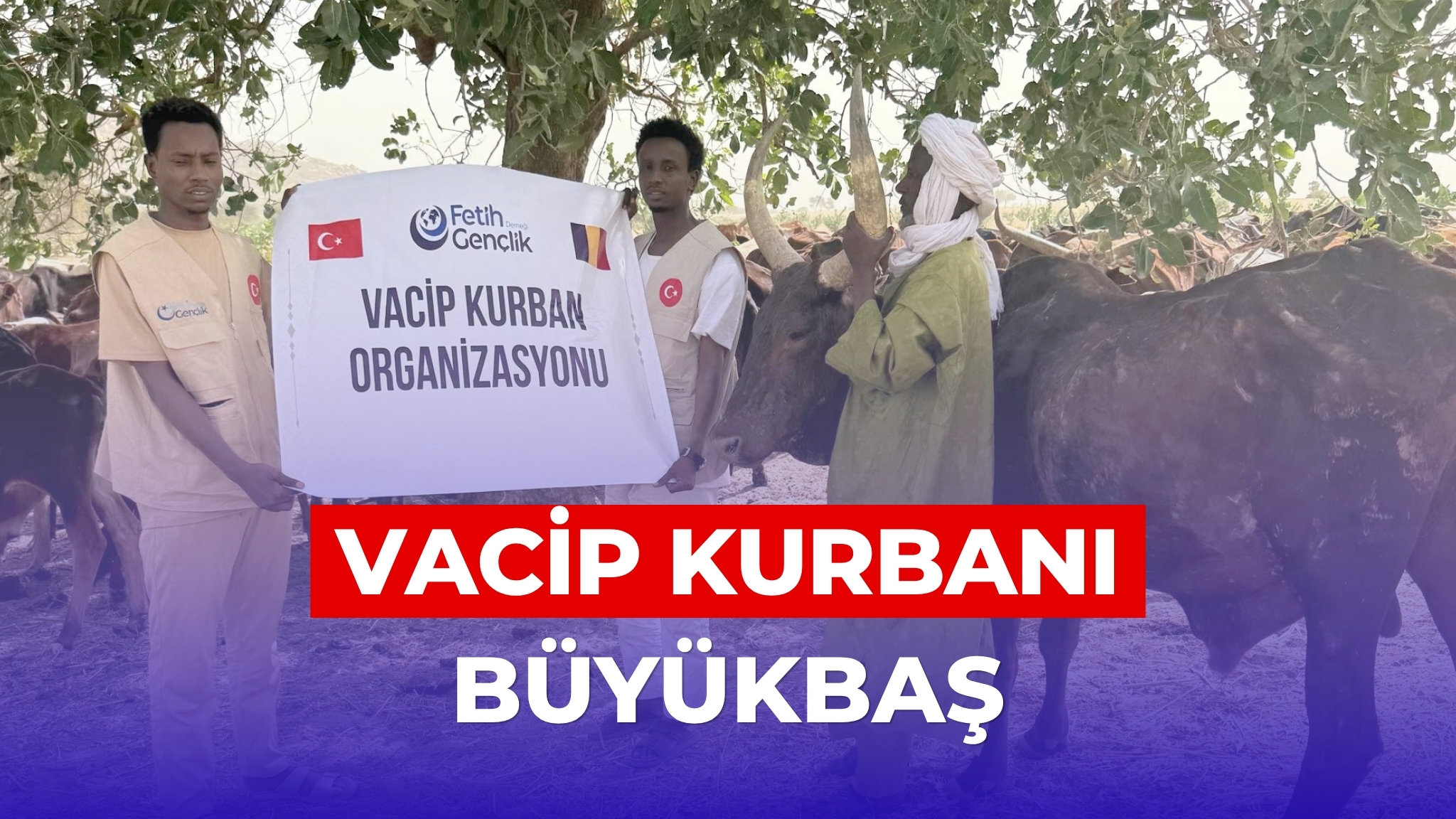 Vacip Büyükbaş Kurban Tam