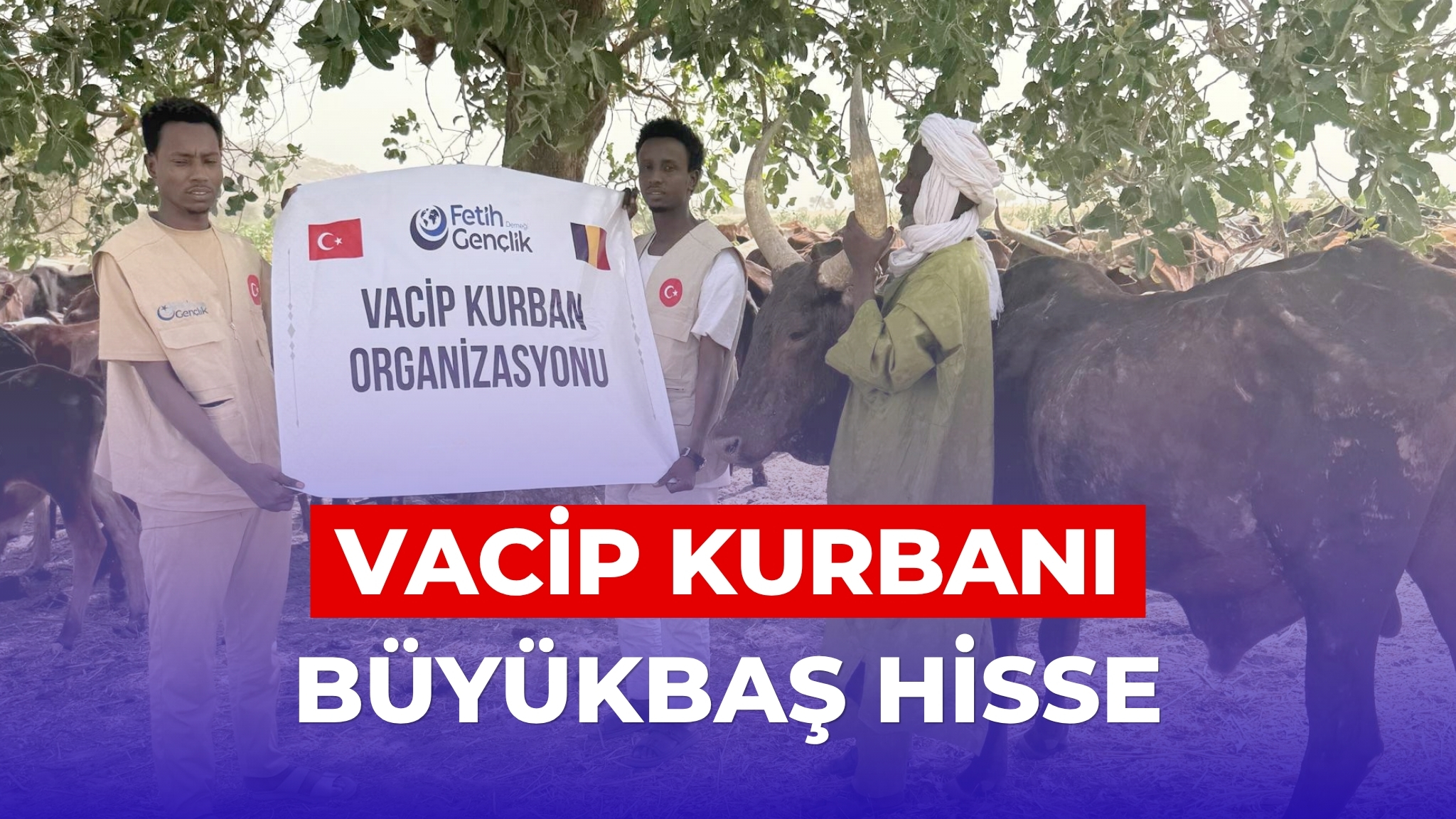 Vacip Büyükbaş Kurban Hisse