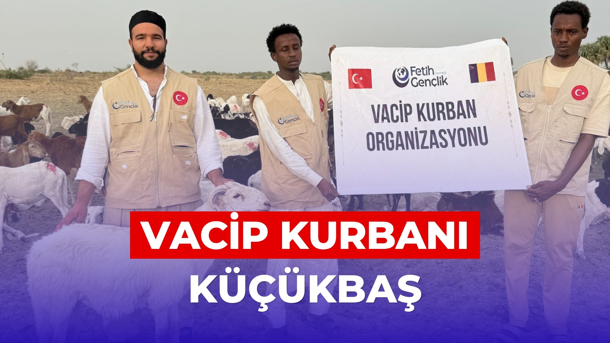 Vacip Küçükbaş Kurban